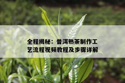 全程揭秘：普洱熟茶制作工艺流程视频教程及步骤详解