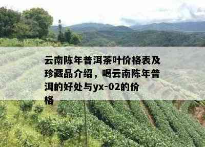 云南陈年普洱茶叶价格表及珍藏品介绍，喝云南陈年普洱的好处与yx-02的价格