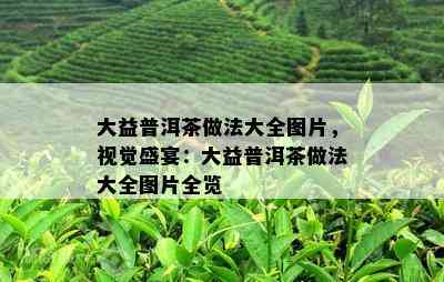 大益普洱茶做法大全图片，视觉盛宴：大益普洱茶做法大全图片全览