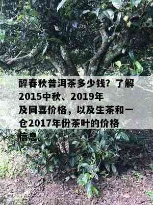 醉春秋普洱茶多少钱？了解2015中秋、2019年及同喜价格，以及生茶和一仓2017年份茶叶的价格信息。