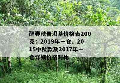 醉春秋普洱茶价格表200克：2019年一仓、2015中秋款及2017年一仓详细价格对比