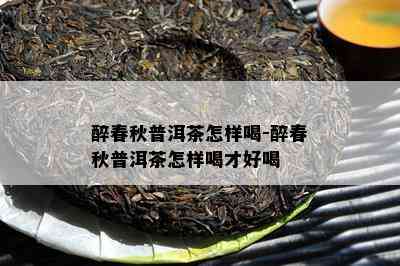 醉春秋普洱茶怎样喝-醉春秋普洱茶怎样喝才好喝