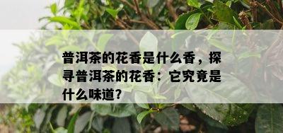 普洱茶的花香是什么香，探寻普洱茶的花香：它究竟是什么味道？