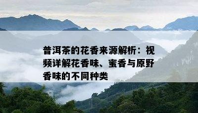 普洱茶的花香来源解析：视频详解花香味、蜜香与原野香味的不同种类