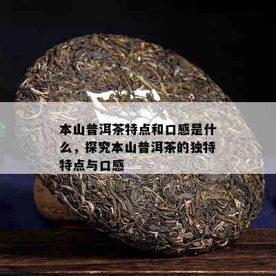 本山普洱茶特点和口感是什么，探究本山普洱茶的独特特点与口感