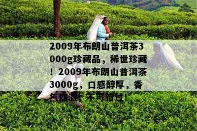 2009年布朗山普洱茶3000g珍藏品，稀世珍藏！2009年布朗山普洱茶3000g，口感醇厚，香气四溢，不可错过！