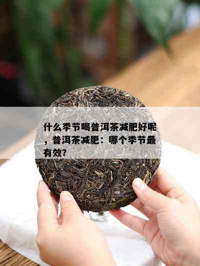 什么季节喝普洱茶减肥好呢，普洱茶减肥：哪个季节最有效？