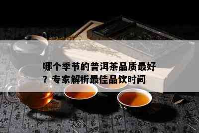 哪个季节的普洱茶品质更好？专家解析更佳品饮时间