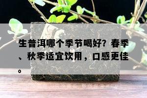 生普洱哪个季节喝好？春季、秋季适宜饮用，口感更佳。