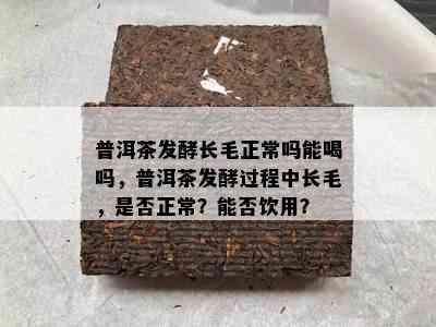 普洱茶发酵长毛正常吗能喝吗，普洱茶发酵过程中长毛，是否正常？能否饮用？