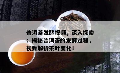 普洱茶发酵视频，深入探索：揭秘普洱茶的发酵过程，视频解析茶叶变化！