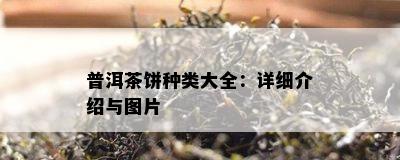 普洱茶饼种类大全：详细介绍与图片