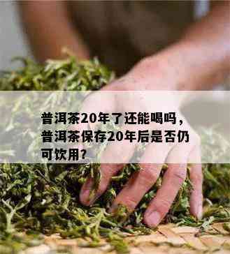 普洱茶20年了还能喝吗，普洱茶保存20年后是否仍可饮用？