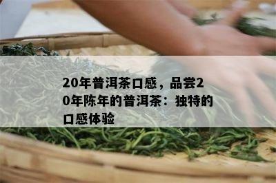 20年普洱茶口感，品尝20年陈年的普洱茶：独特的口感体验