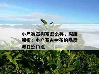 小户赛古树茶怎么样，深度解析：小户赛古树茶的品质与口感特点