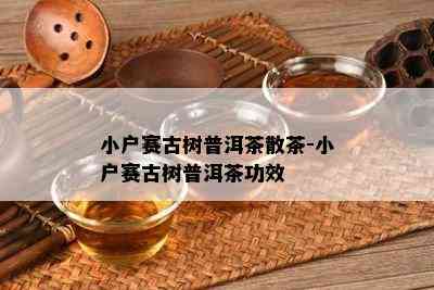 小户赛古树普洱茶散茶-小户赛古树普洱茶功效