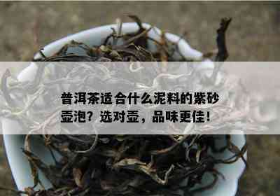 普洱茶适合什么泥料的紫砂壶泡？选对壶，品味更佳！