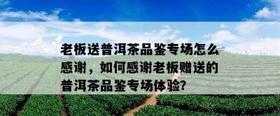 老板送普洱茶品鉴专场怎么感谢，如何感谢老板赠送的普洱茶品鉴专场体验？