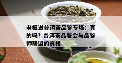 老板送普洱茶品鉴专场：真的吗？普洱茶品鉴会与品鉴师联盟的真相