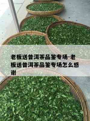 老板送普洱茶品鉴专场-老板送普洱茶品鉴专场怎么感谢