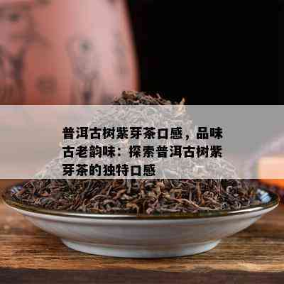 普洱古树紫芽茶口感，品味古老韵味：探索普洱古树紫芽茶的独特口感