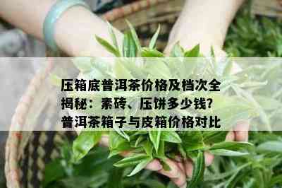 压箱底普洱茶价格及档次全揭秘：素砖、压饼多少钱？普洱茶箱子与皮箱价格对比