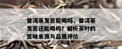 普洱茶发苦能喝吗，普洱茶发苦还能喝吗？解析茶叶的苦味来源与品质评价