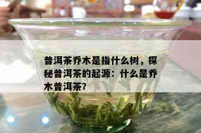 普洱茶乔木是指什么树，探秘普洱茶的起源：什么是乔木普洱茶？