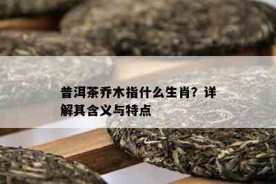 普洱茶乔木指什么生肖？详解其含义与特点