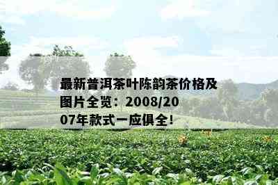 最新普洱茶叶陈韵茶价格及图片全览：2008/2007年款式一应俱全！