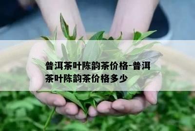 普洱茶叶陈韵茶价格-普洱茶叶陈韵茶价格多少