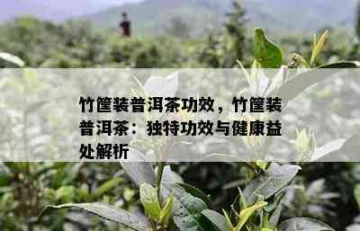 竹筐装普洱茶功效，竹筐装普洱茶：独特功效与健康益处解析