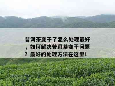 普洱茶变干了怎么处理更好，如何解决普洱茶变干问题？更好的处理方法在这里！