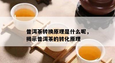 普洱茶转换原理是什么呢，揭示普洱茶的转化原理