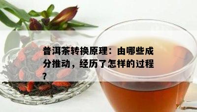 普洱茶转换原理：由哪些成分推动，经历了怎样的过程？