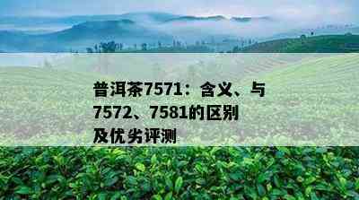 普洱茶7571：含义、与7572、7581的区别及优劣评测