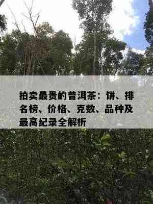 拍卖最贵的普洱茶：饼、排名榜、价格、克数、品种及更高纪录全解析