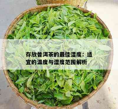 存放普洱茶的更佳湿度：适宜的温度与湿度范围解析