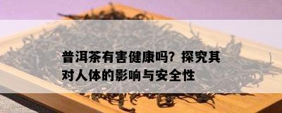 普洱茶有害健康吗？探究其对人体的影响与安全性