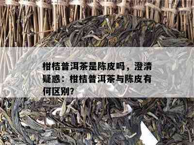 柑桔普洱茶是陈皮吗，澄清疑惑：柑桔普洱茶与陈皮有何区别？