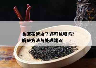 普洱茶起虫了还可以喝吗？解决方法与处理建议