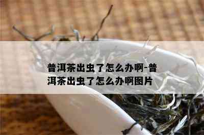 普洱茶出虫了怎么办啊-普洱茶出虫了怎么办啊图片