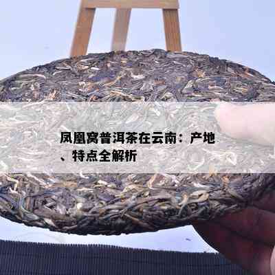 凤凰窝普洱茶在云南：产地、特点全解析