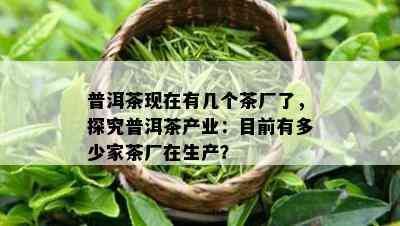 普洱茶现在有几个茶厂了，探究普洱茶产业：目前有多少家茶厂在生产？