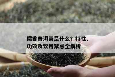 糯香普洱茶是什么？特性、功效及饮用禁忌全解析