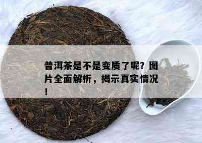 普洱茶是不是变质了呢？图片全面解析，揭示真实情况！