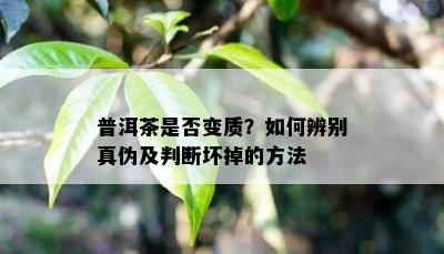 普洱茶是否变质？如何辨别真伪及判断坏掉的方法