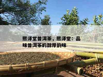 熙泽堂普洱茶，熙泽堂：品味普洱茶的醇厚韵味