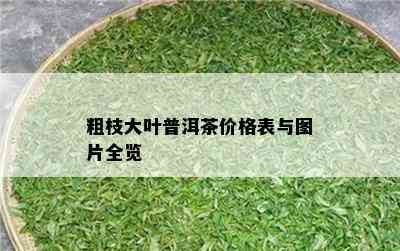 粗枝大叶普洱茶价格表与图片全览