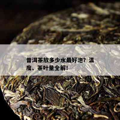 普洱茶放多少水更好泡？温度、茶叶量全解！